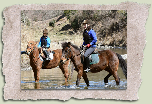 Ảnh: The Japan Times
